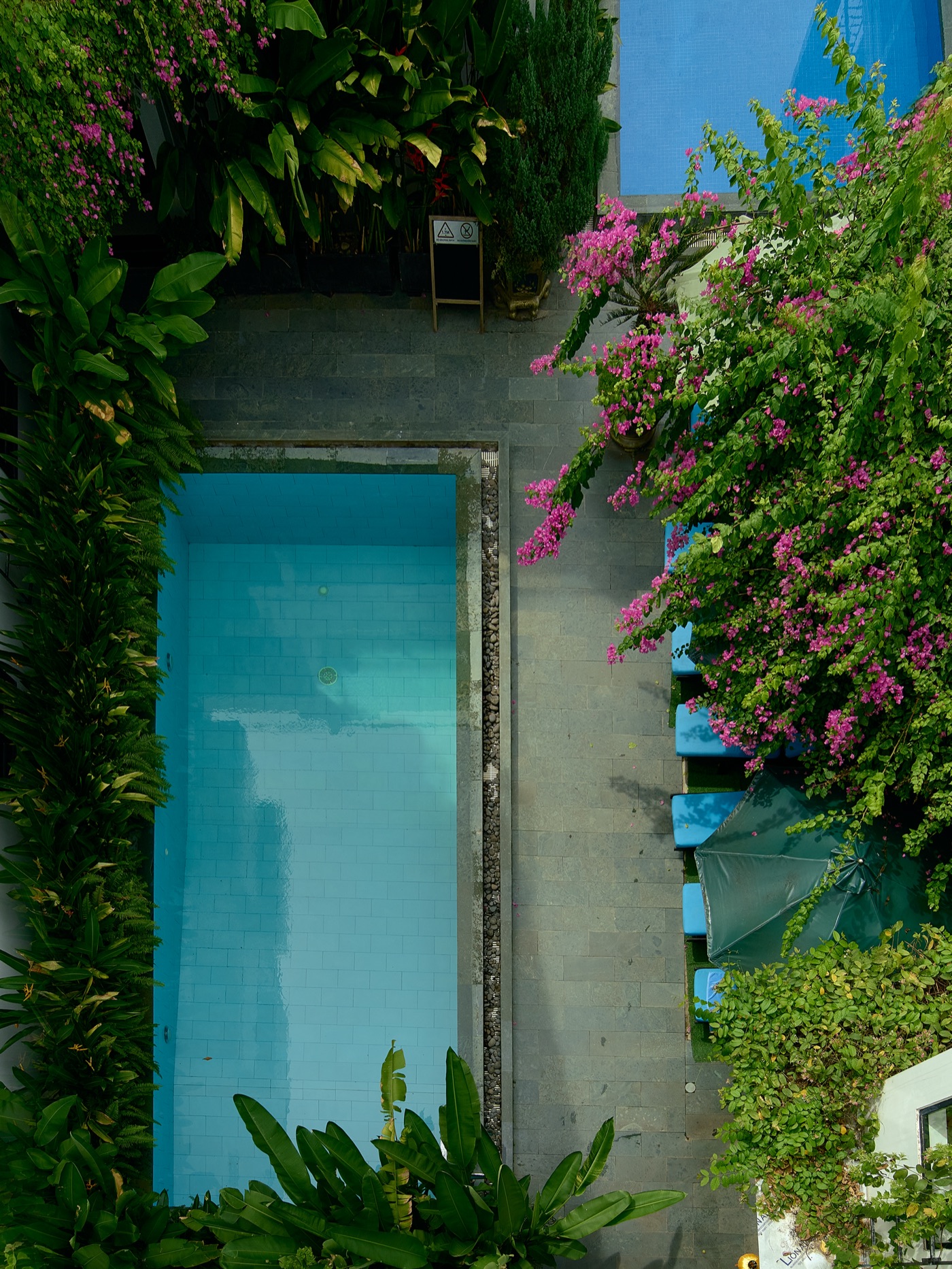 Bird's-eye view straight down onto the courtyard pool